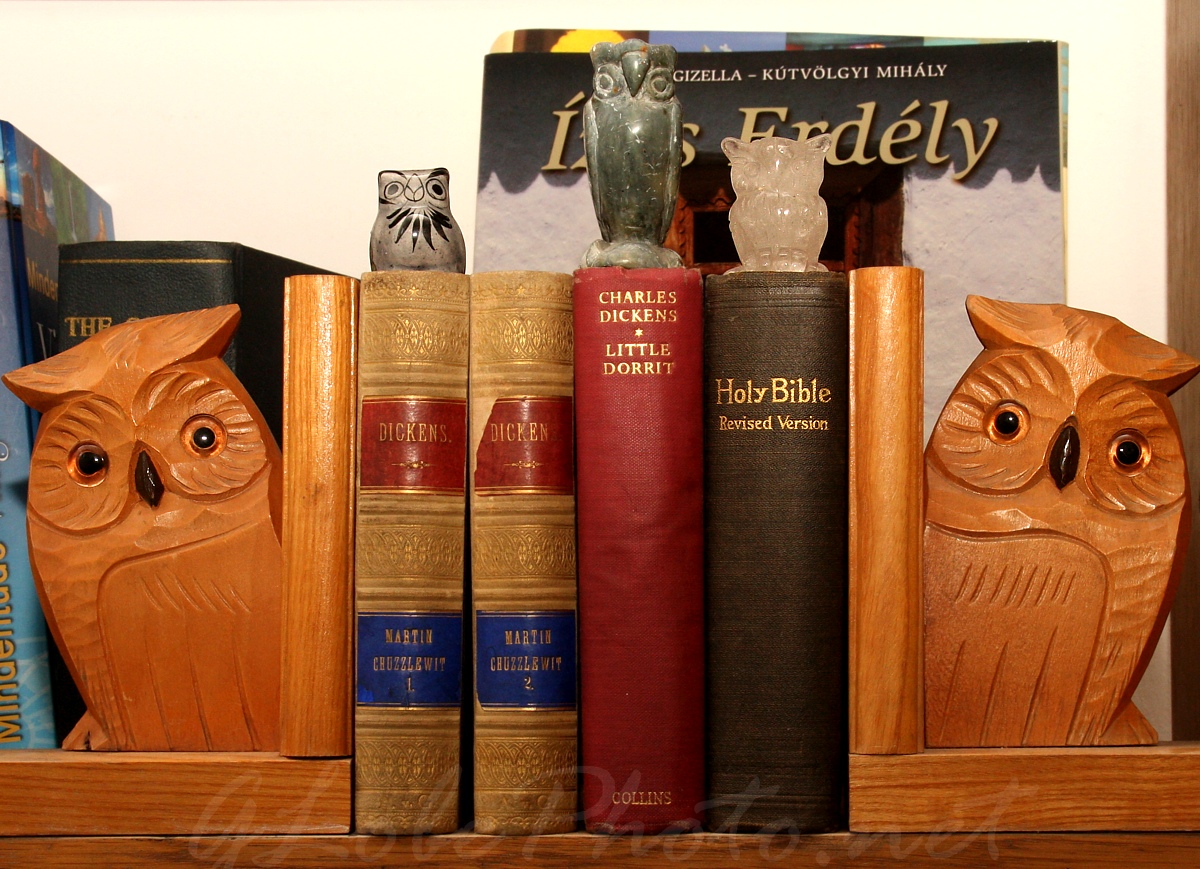 Baglyok a knyvespolcon - Owls on the bookshelf