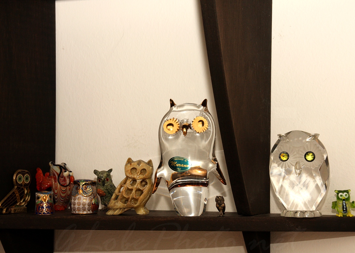 vegbaglyok a polcon - Glass owls on the shelf