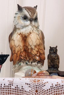 OWLs
